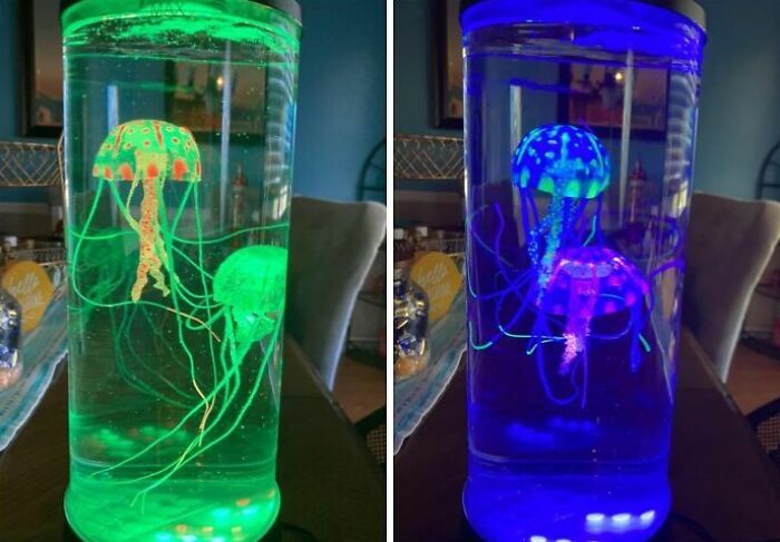Forget Practicality, These 23 Things Are Just Pure, Unadulterated Cool