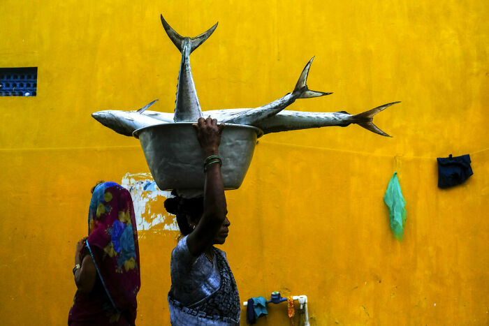 50 Unforgettable Street Photos That Turn Everyday Life Into Art