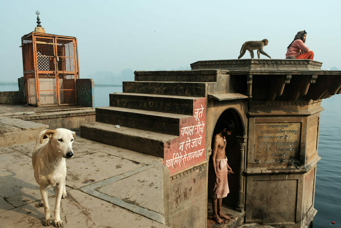 50 Unforgettable Street Photos That Turn Everyday Life Into Art