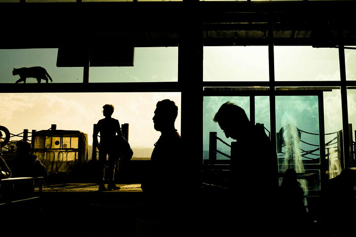 50 Unforgettable Street Photos That Turn Everyday Life Into Art
