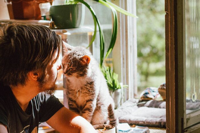 55 Heartwarming, Ridiculous And Harmless Secrets People Haven’t Told Anyone Until Now