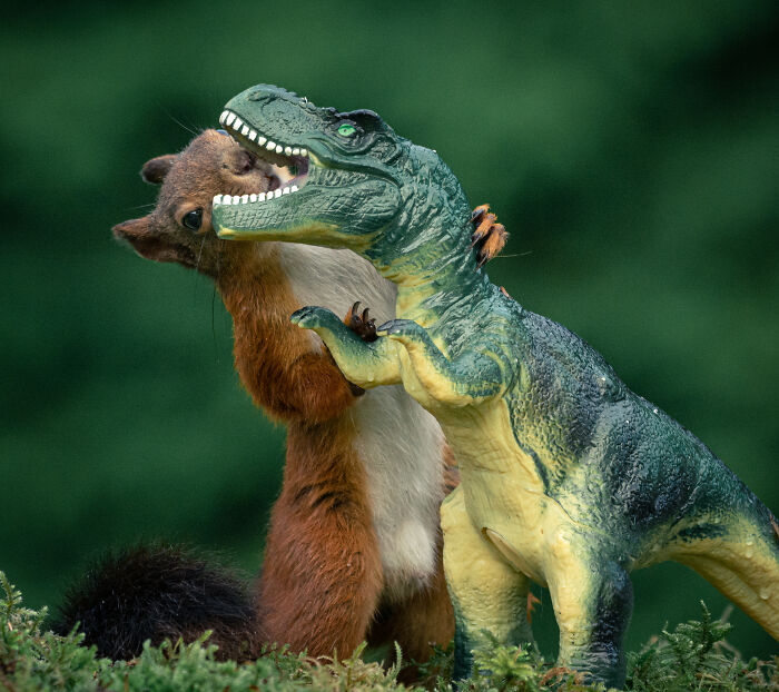 53 Animals That Didn’t Mean To Be Funny, But Totally Nailed It