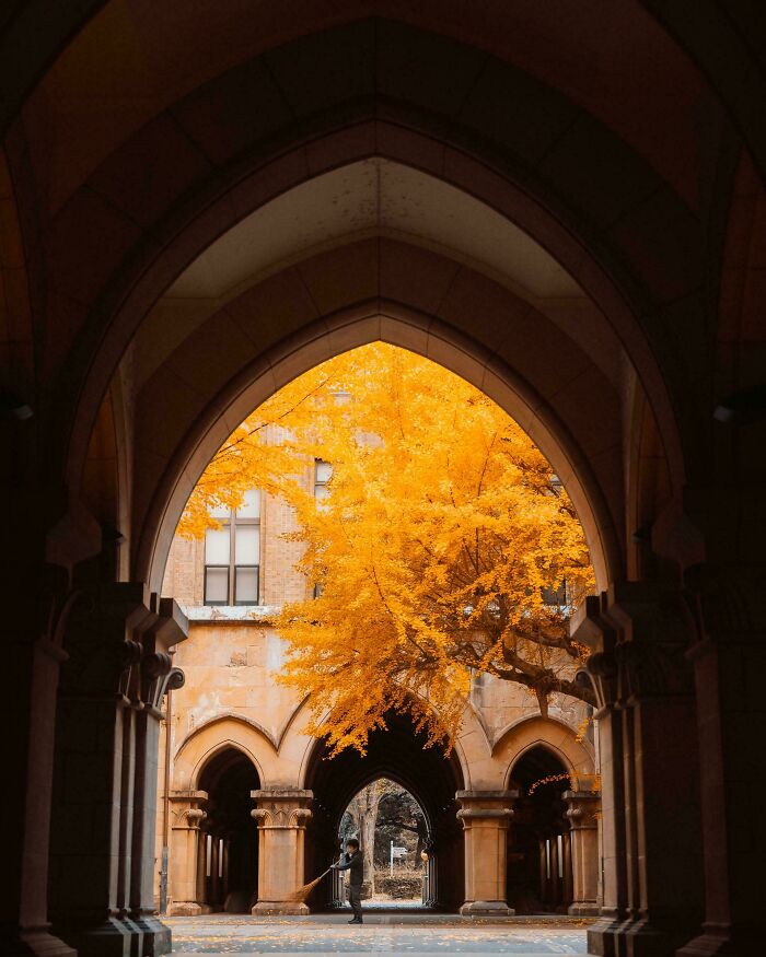 This Community Shares The Most Impressive Architectural Feats, Here Are 89 Of Their Newest Pics