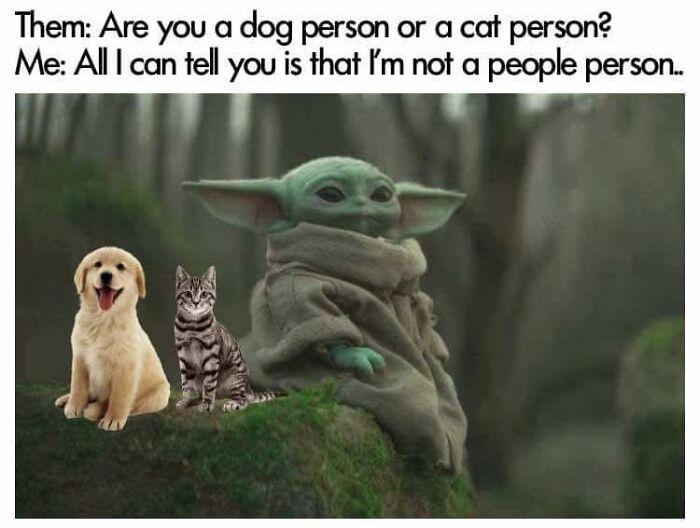 88 Funny Memes That May Serve As Your Crash Course On Neurodivergence