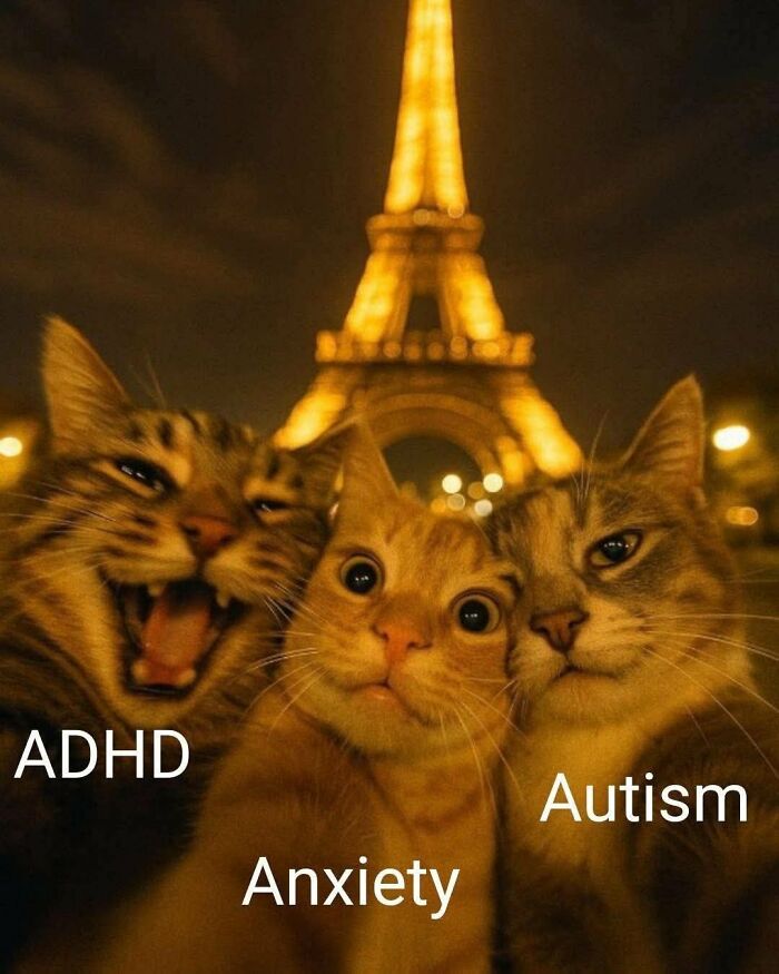 88 Funny Memes That May Serve As Your Crash Course On Neurodivergence