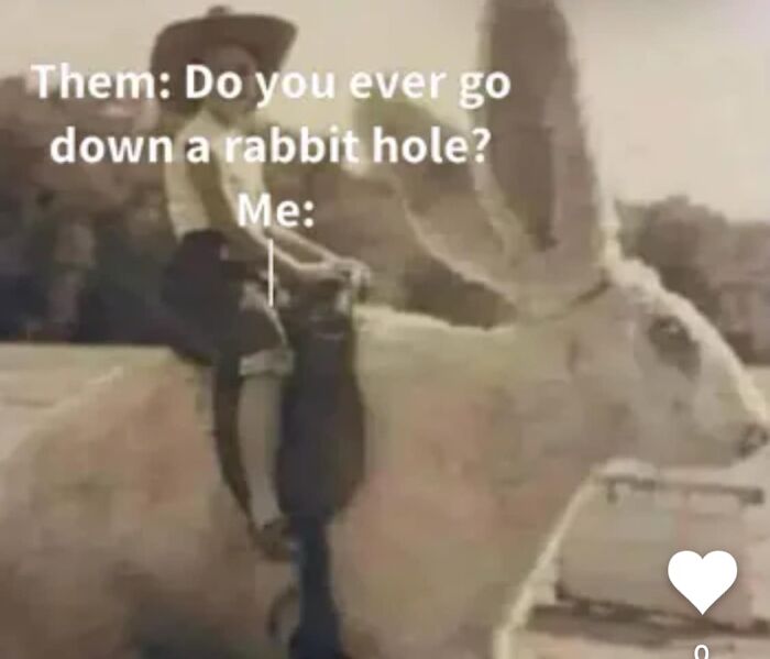88 Funny Memes That May Serve As Your Crash Course On Neurodivergence