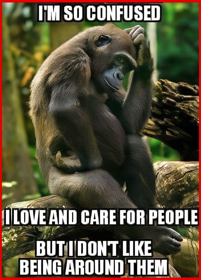 88 Funny Memes That May Serve As Your Crash Course On Neurodivergence
