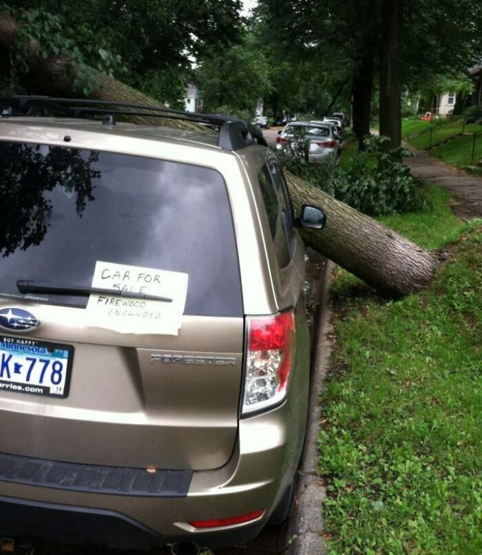 “I Think God Hates Me”: 59 Wild Pics Of Mother Nature Doing Things On Its Own Terms (New Pics)