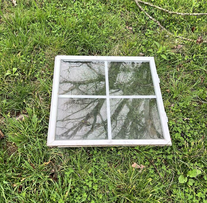 “I Think God Hates Me”: 59 Wild Pics Of Mother Nature Doing Things On Its Own Terms (New Pics)