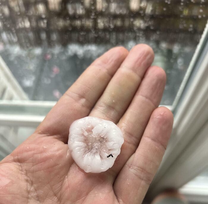 “I Think God Hates Me”: 59 Wild Pics Of Mother Nature Doing Things On Its Own Terms (New Pics)