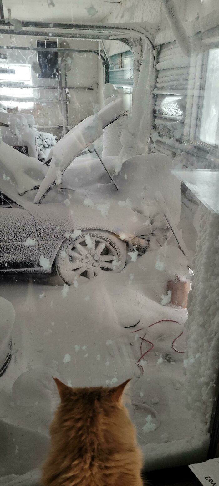 “I Think God Hates Me”: 59 Wild Pics Of Mother Nature Doing Things On Its Own Terms (New Pics)