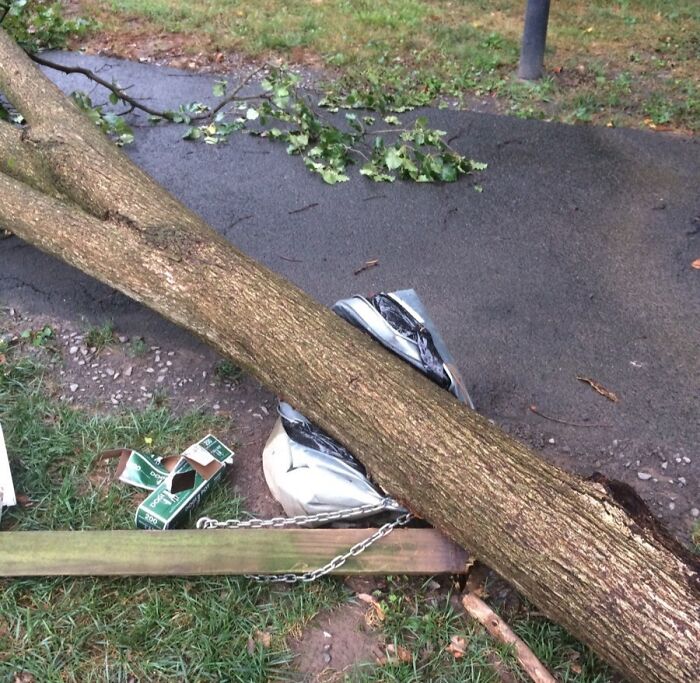 “I Think God Hates Me”: 59 Wild Pics Of Mother Nature Doing Things On Its Own Terms (New Pics)