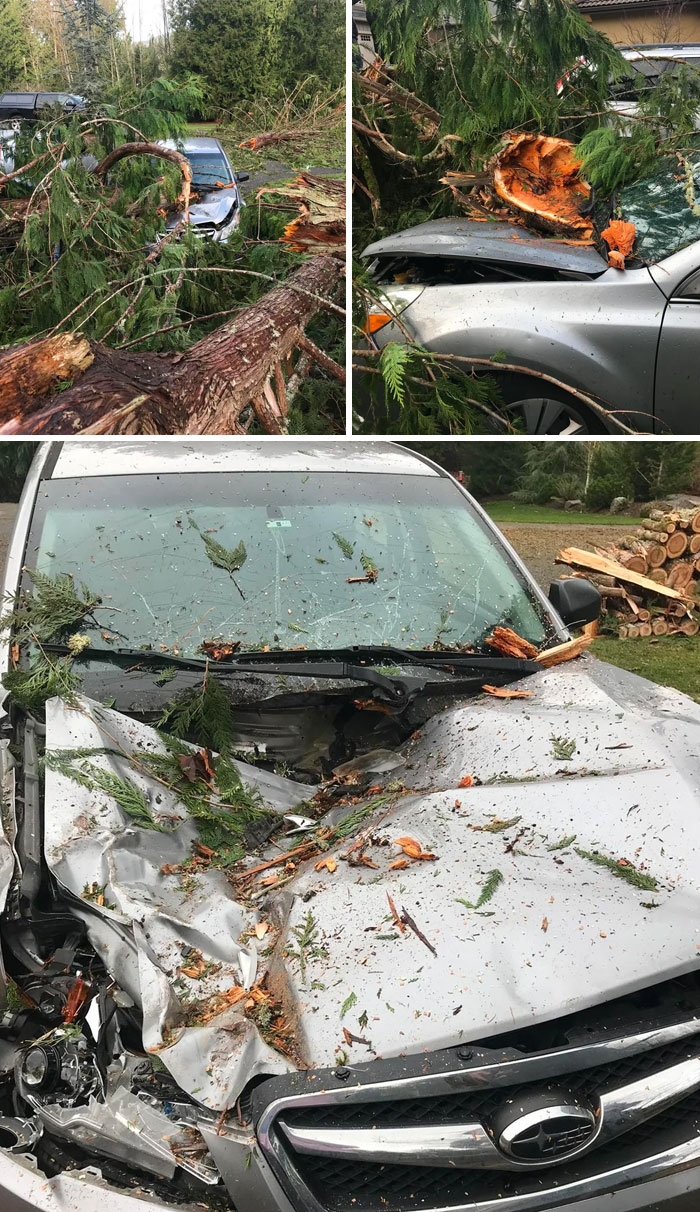 “I Think God Hates Me”: 59 Wild Pics Of Mother Nature Doing Things On Its Own Terms (New Pics)