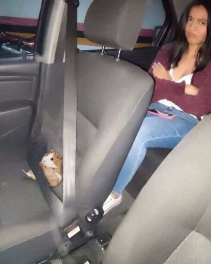 86 Hilariously Chaotic Animal Pics That Hit Harder Than Monday Morning (New Pics)