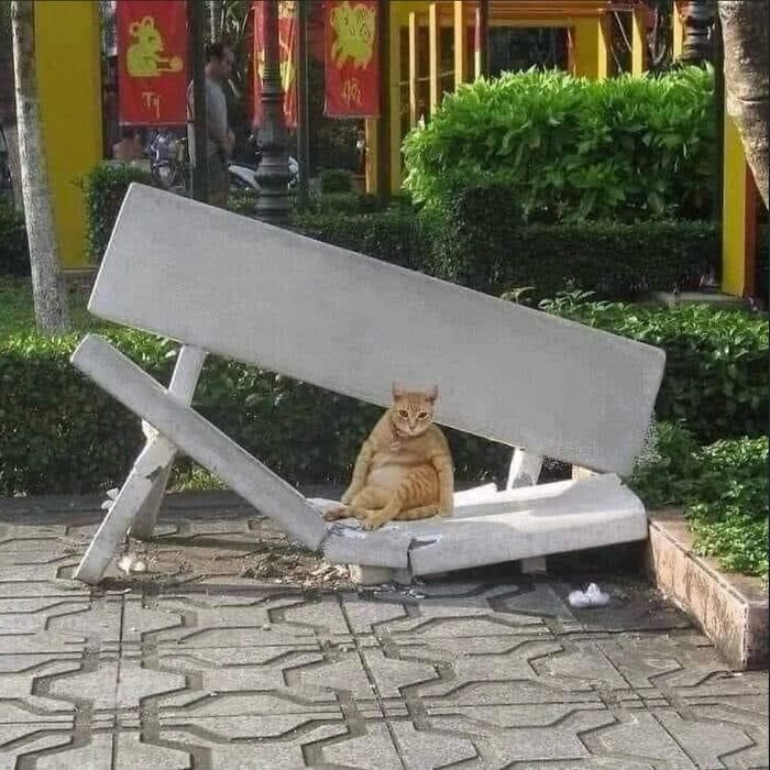 86 Hilariously Chaotic Animal Pics That Hit Harder Than Monday Morning (New Pics)