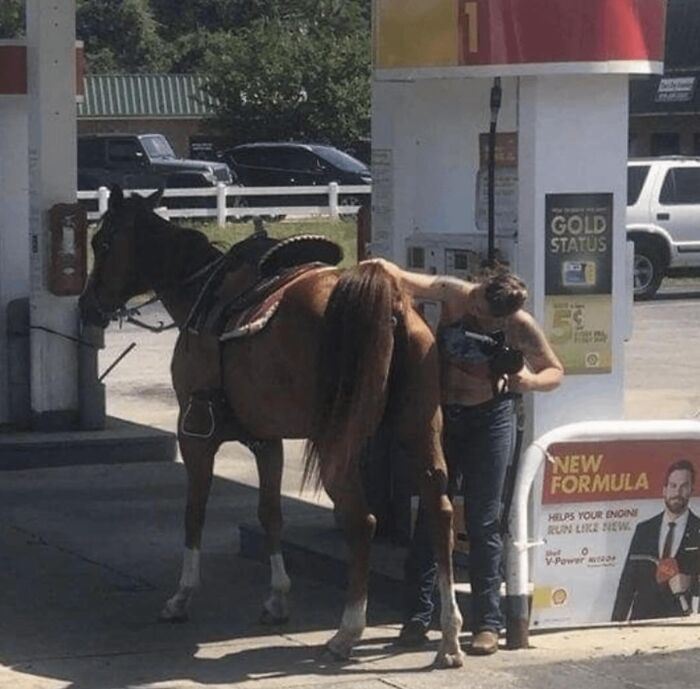 86 Hilariously Chaotic Animal Pics That Hit Harder Than Monday Morning (New Pics)