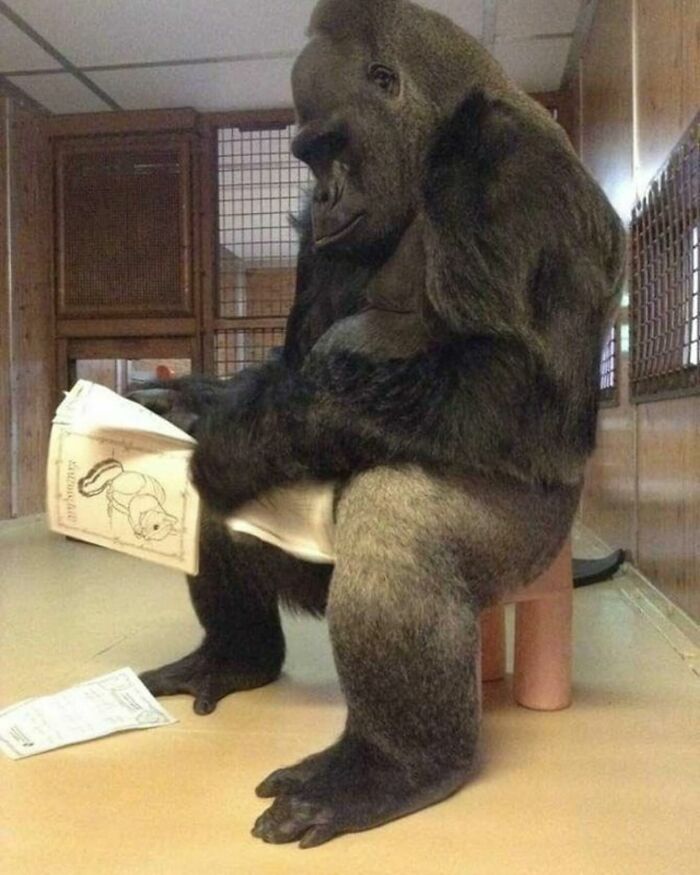 86 Hilariously Chaotic Animal Pics That Hit Harder Than Monday Morning (New Pics)