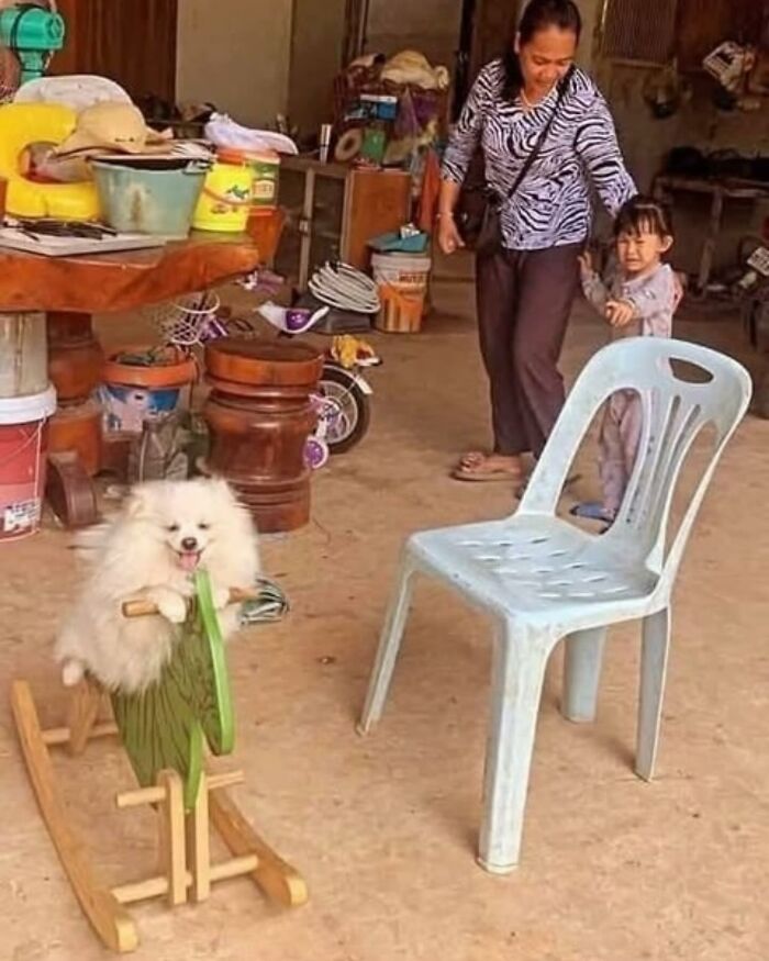 86 Hilariously Chaotic Animal Pics That Hit Harder Than Monday Morning (New Pics)