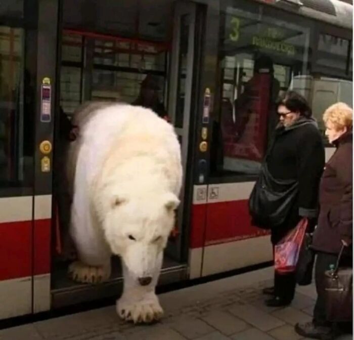 86 Hilariously Chaotic Animal Pics That Hit Harder Than Monday Morning (New Pics)
