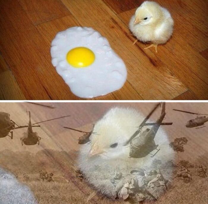 86 Hilariously Chaotic Animal Pics That Hit Harder Than Monday Morning (New Pics)