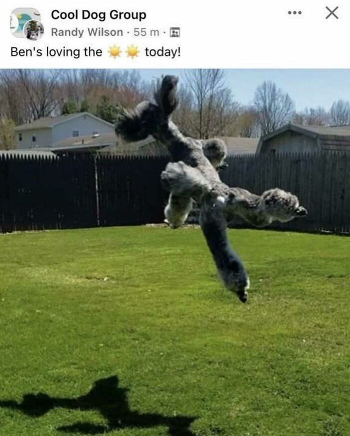 86 Hilariously Chaotic Animal Pics That Hit Harder Than Monday Morning (New Pics)