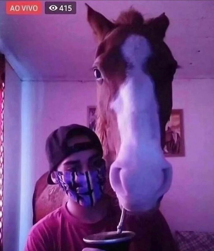 86 Hilariously Chaotic Animal Pics That Hit Harder Than Monday Morning (New Pics)