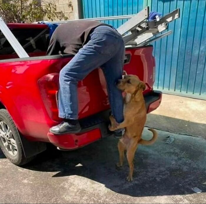 86 Hilariously Chaotic Animal Pics That Hit Harder Than Monday Morning (New Pics)