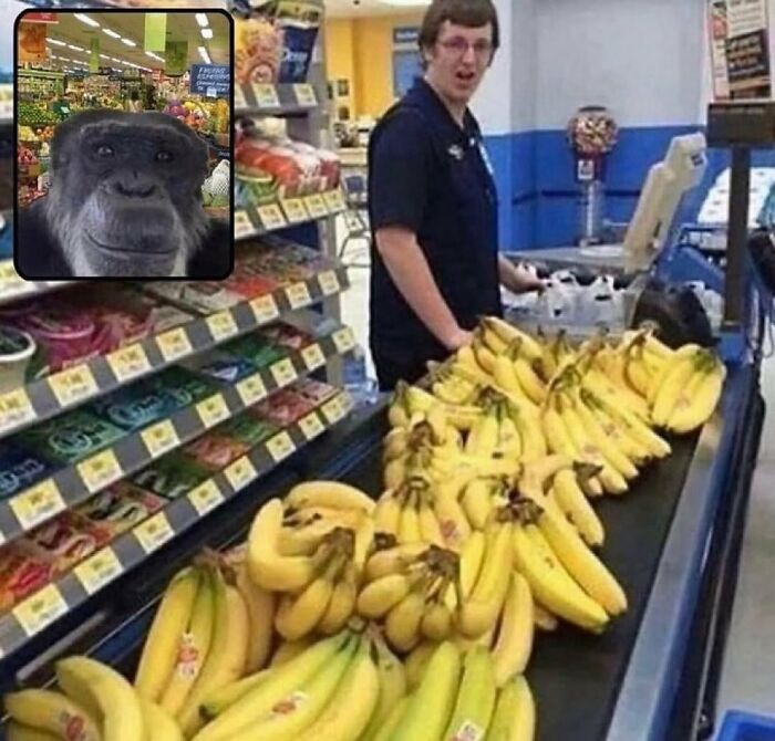 86 Hilariously Chaotic Animal Pics That Hit Harder Than Monday Morning (New Pics)