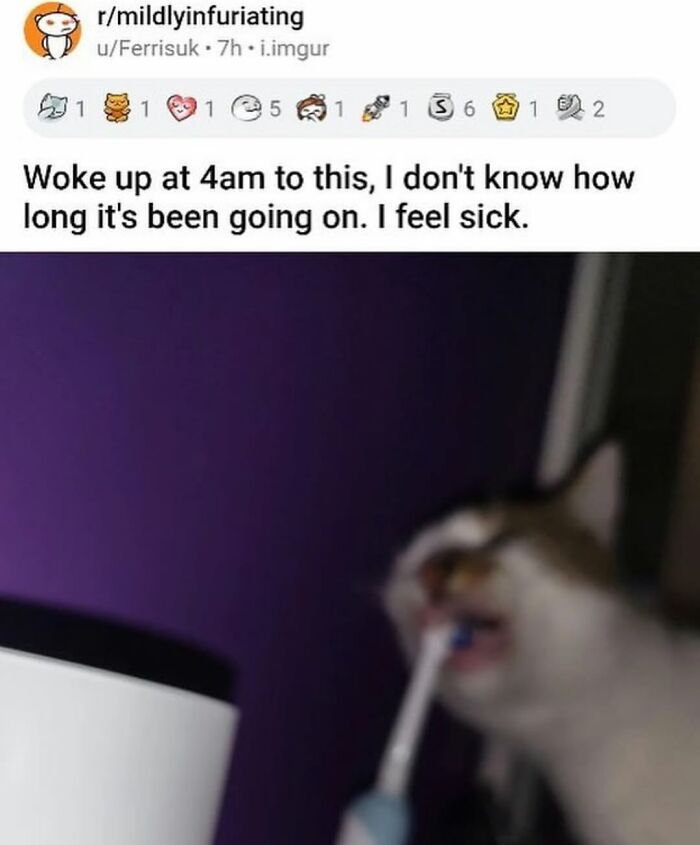 86 Hilariously Chaotic Animal Pics That Hit Harder Than Monday Morning (New Pics)