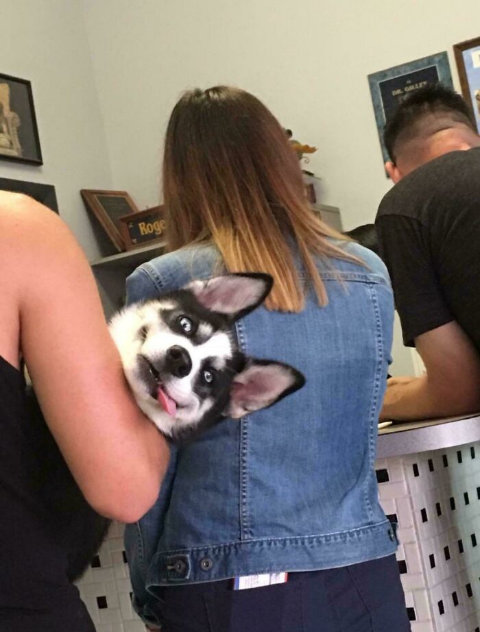 118 Hilariously Unphotogenic Animal Pics To Make Your Day Better (New Pics)