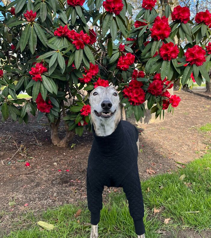 118 Hilariously Unphotogenic Animal Pics To Make Your Day Better (New Pics)