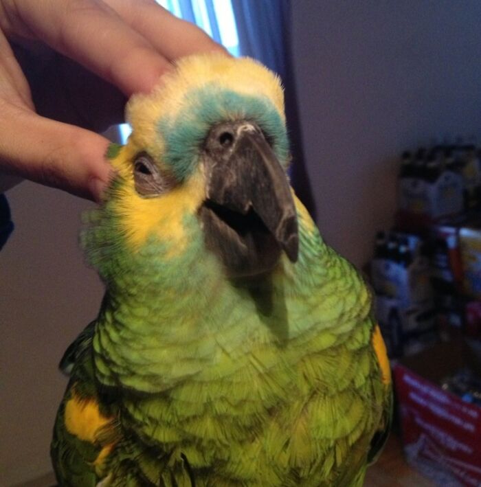 118 Hilariously Unphotogenic Animal Pics To Make Your Day Better (New Pics)