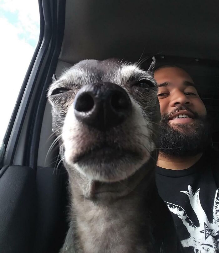 118 Hilariously Unphotogenic Animal Pics To Make Your Day Better (New Pics)