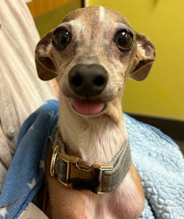 118 Hilariously Unphotogenic Animal Pics To Make Your Day Better (New Pics)