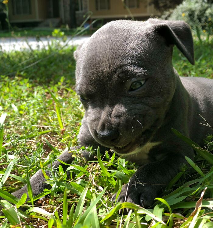 118 Hilariously Unphotogenic Animal Pics To Make Your Day Better (New Pics)