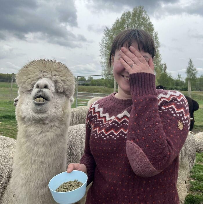 118 Hilariously Unphotogenic Animal Pics To Make Your Day Better (New Pics)