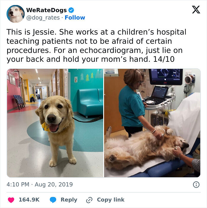 94 Funny And Relatable Medical Memes To Show Your Doctor At Your Next Checkup