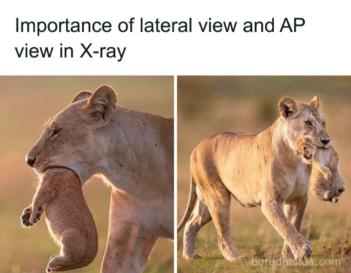 94 Funny And Relatable Medical Memes To Show Your Doctor At Your Next Checkup