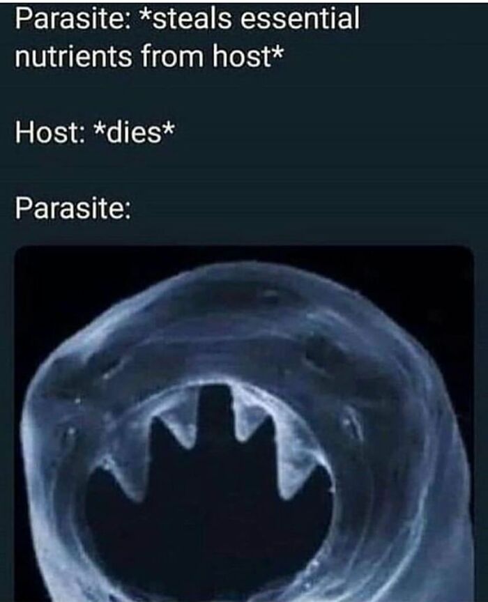 94 Funny And Relatable Medical Memes To Show Your Doctor At Your Next Checkup