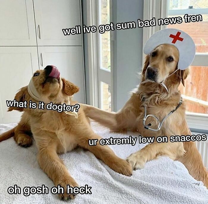 94 Funny And Relatable Medical Memes To Show Your Doctor At Your Next Checkup