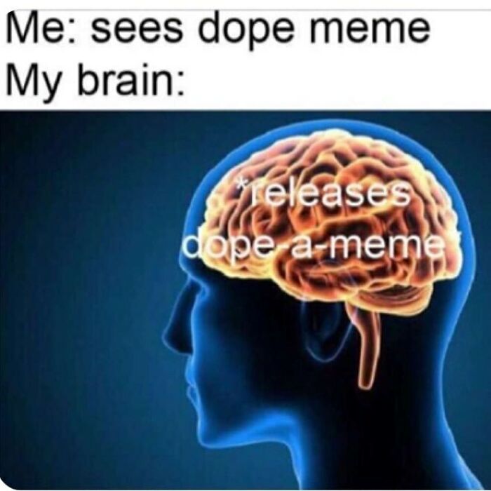94 Funny And Relatable Medical Memes To Show Your Doctor At Your Next Checkup