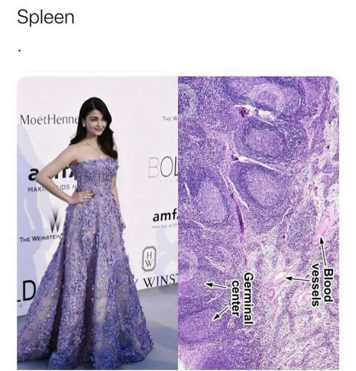 94 Funny And Relatable Medical Memes To Show Your Doctor At Your Next Checkup