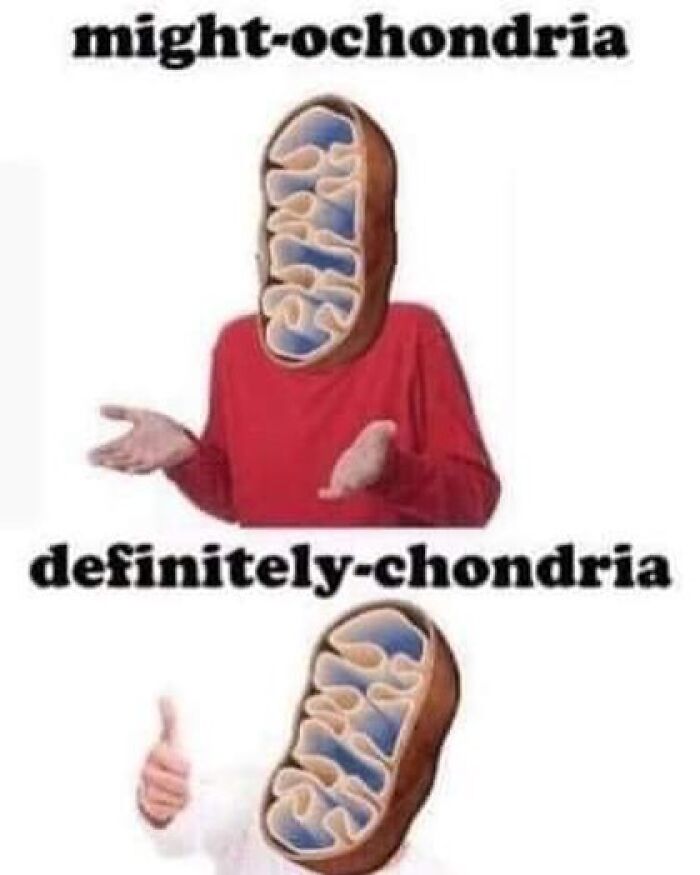 94 Funny And Relatable Medical Memes To Show Your Doctor At Your Next Checkup