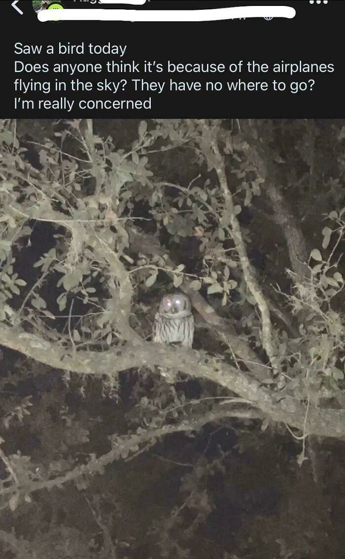 101 Screenshots Of The Wildest Posts From This App Dedicated To Neighbors (New Pics)