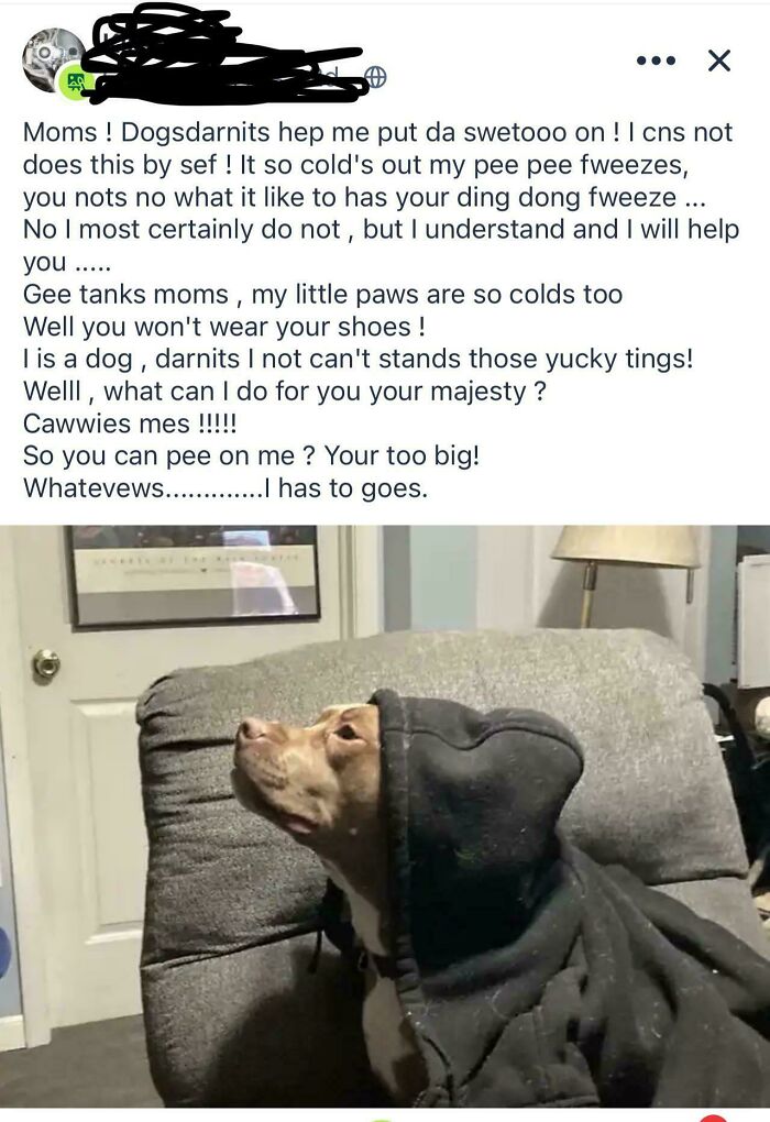 101 Screenshots Of The Wildest Posts From This App Dedicated To Neighbors (New Pics)