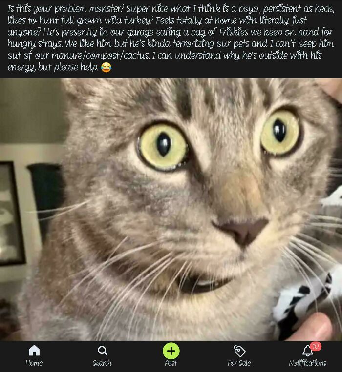 101 Screenshots Of The Wildest Posts From This App Dedicated To Neighbors (New Pics)