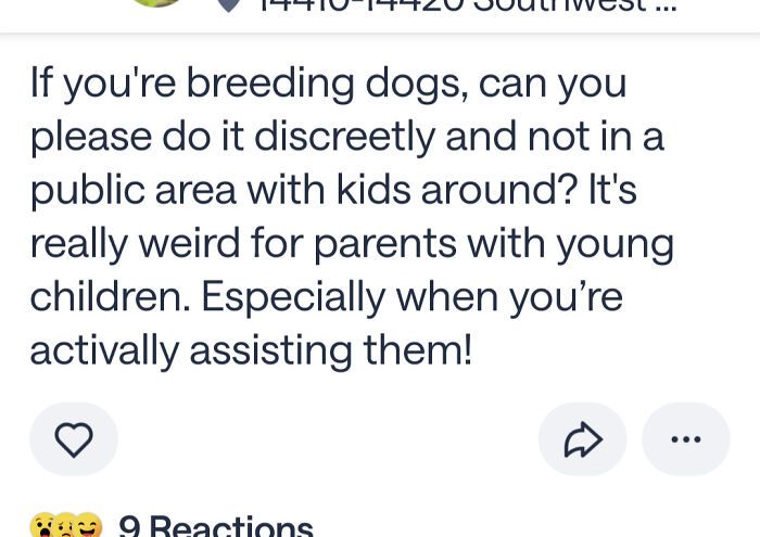 101 Screenshots Of The Wildest Posts From This App Dedicated To Neighbors (New Pics)