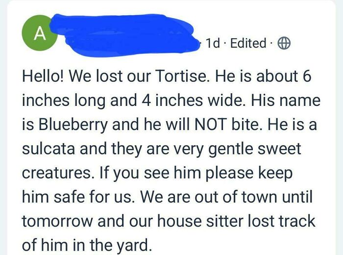 101 Screenshots Of The Wildest Posts From This App Dedicated To Neighbors (New Pics)
