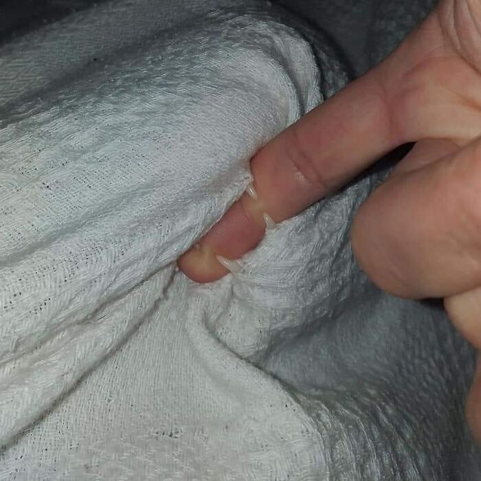 42 Very Strange But Funny Photos Of Cats Shared By An IG Account Obsessed With Felines