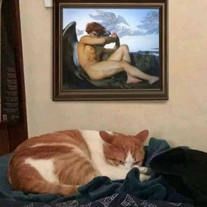 42 Very Strange But Funny Photos Of Cats Shared By An IG Account Obsessed With Felines